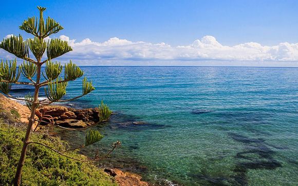 Willkommen in... Benidorm!