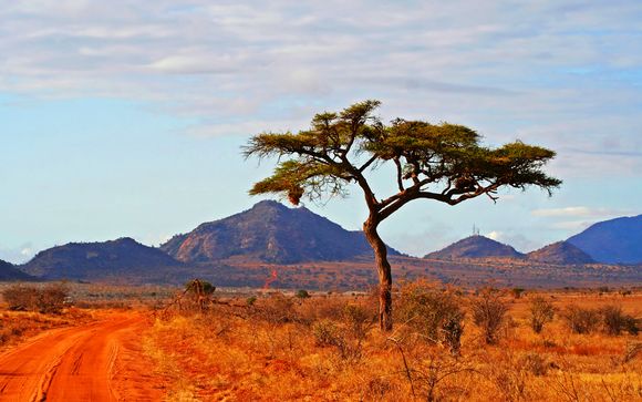 Willkommen in...Kenia !