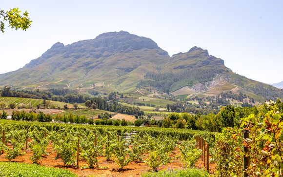 Im Angebot enthalten