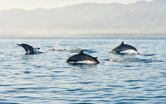 Im Angebot enthalten