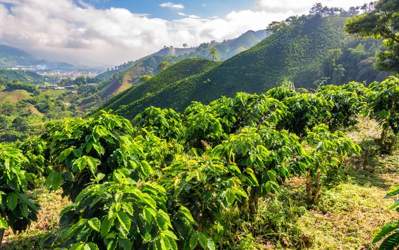 Ihre Rundreise im Detail