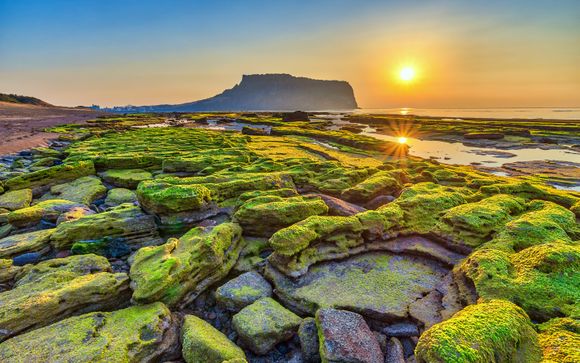 Ihre Rundreise im Detail