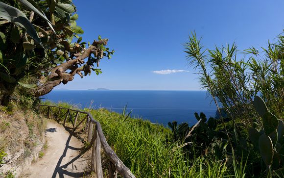 Ihre Ausflugsoptionen