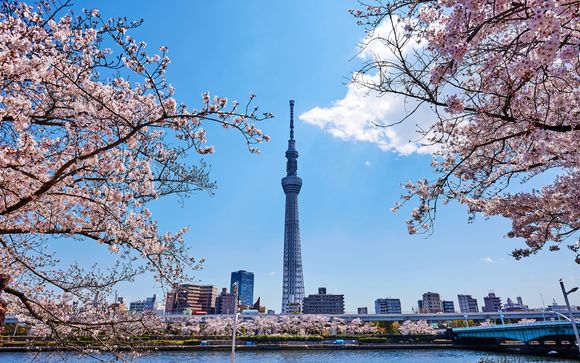 Ihre Reise im Überblick