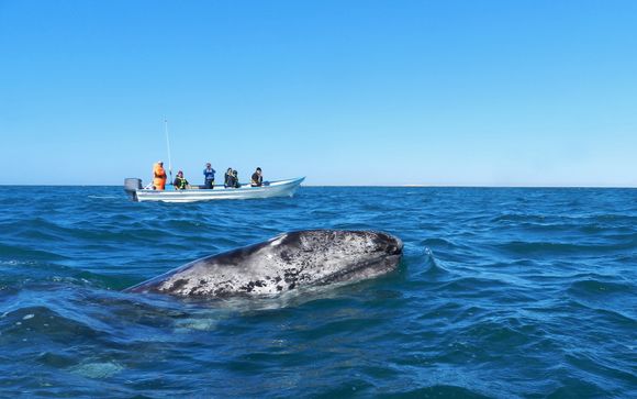 Im Angebot enthalten