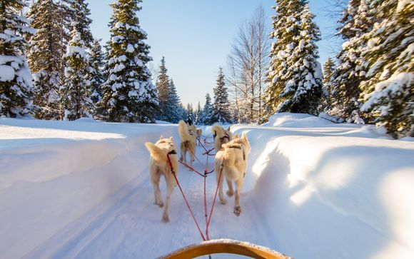 Im Angebot enthalten