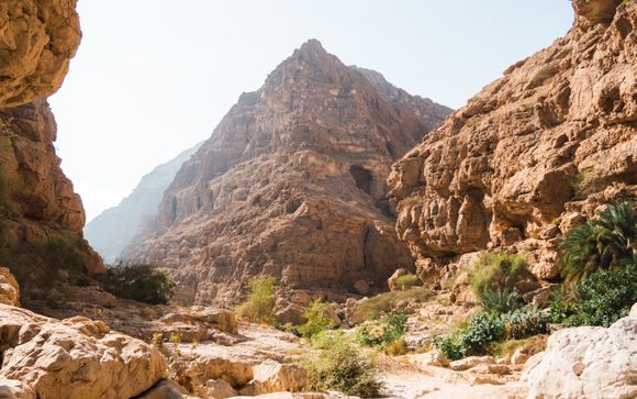 Im Angebot enthalten