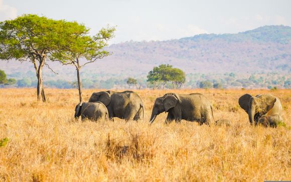 Ihre Safari im Überblick