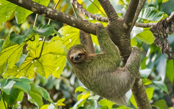Ihre Reise im Überblick