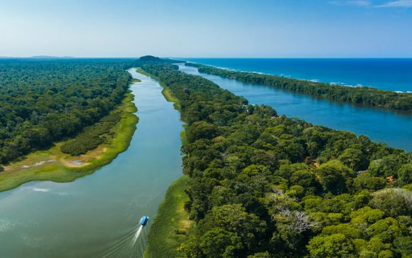 Im Angebot enthalten