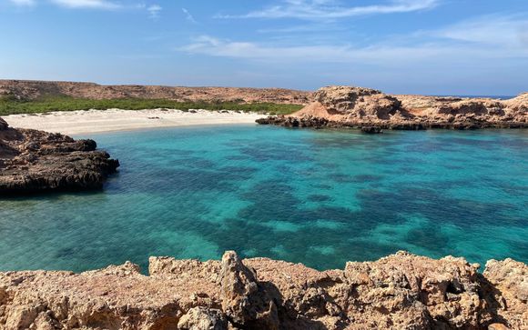 Ab 8 Nächten: Wadi Shab-Tour
