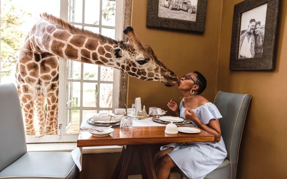 Im Angebot enthalten