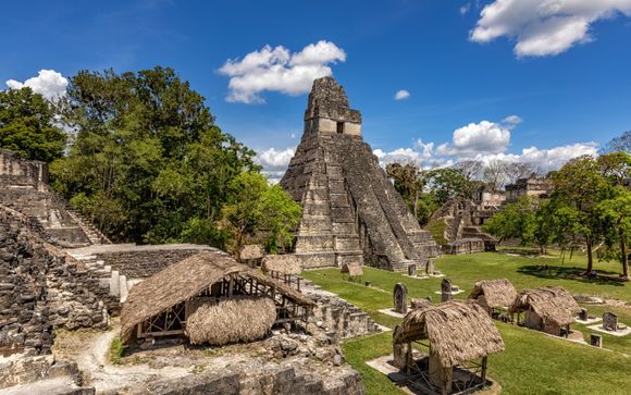 Im Angebot inbegriffen