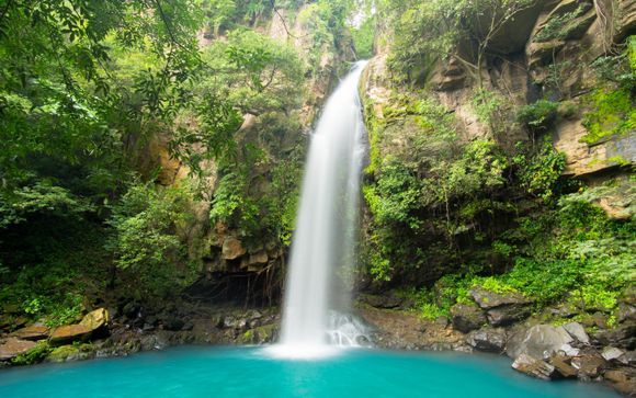 Im Angebot enthalten