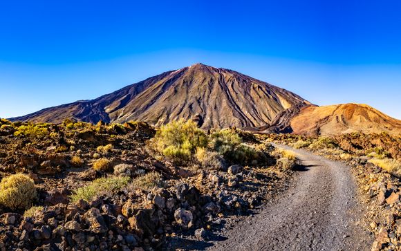 Eine Teide Tour (ohne Seilbahn) 
