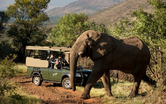 Ihre Rundreise im Detail