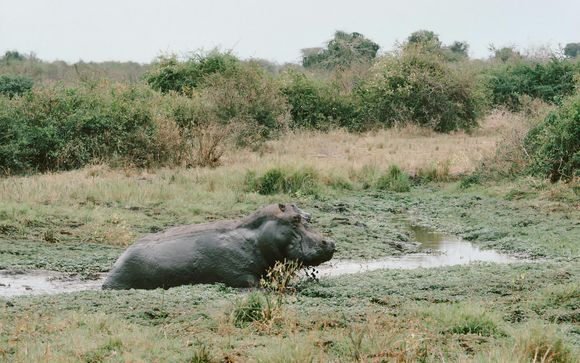Ihr Reiseverlauf im Detail