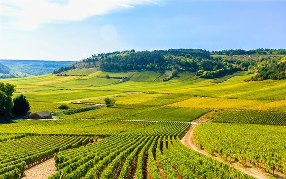 Willkommen in Burgund