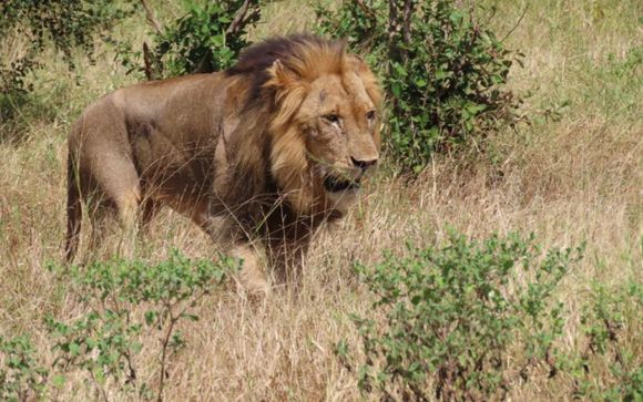 Ihre Rundreise im Detail