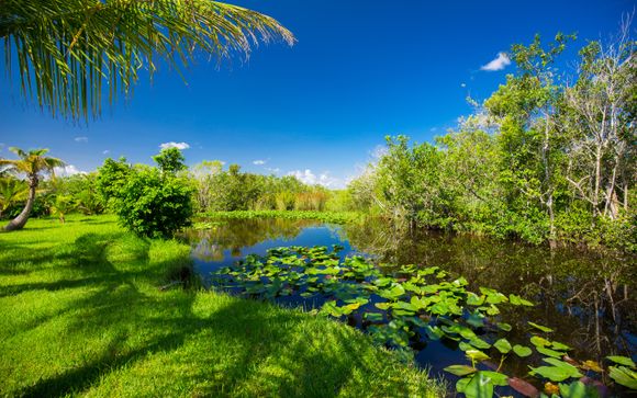 Entdeckung des Nationalparks Everglades (Tag 3, halber Tag)