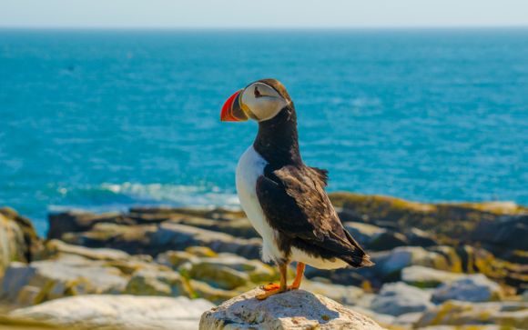 Ihre Rundreise im Detail