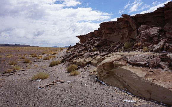Ihre Ausflugsoptionen