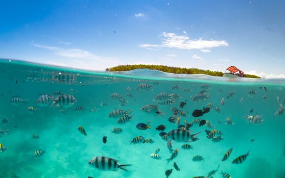 Ihre Ausflugsoptionen