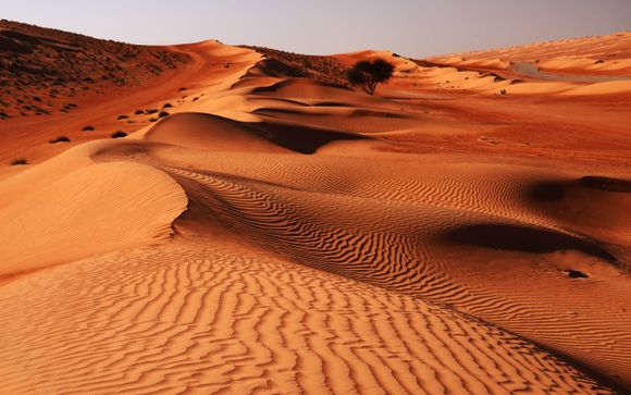 Ihre Rundreise im Detail