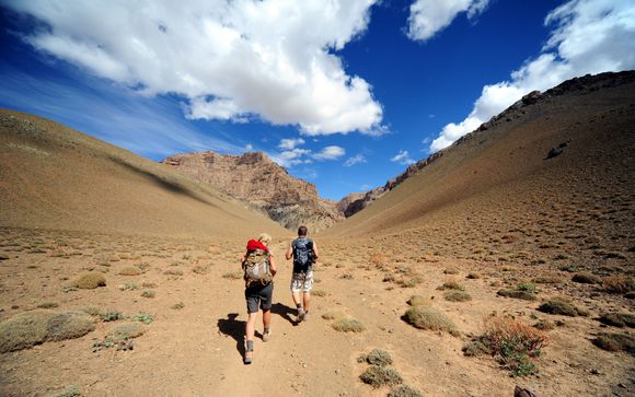 Im Angebot enthalten