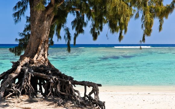 Willkommen auf La Réunion