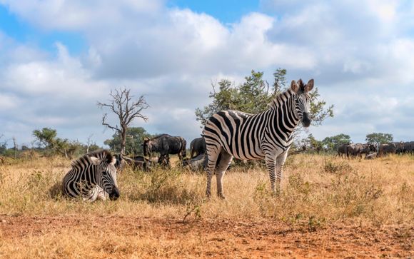 Willkommen in Südafrika