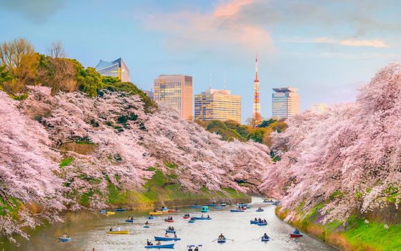 Ihre Rundreise im Überblick