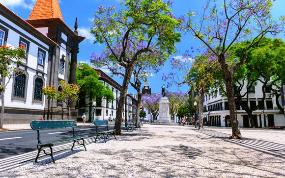 Ihre Ausflugsoptionen