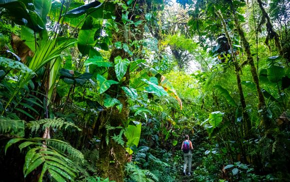 Ihre Rundreise im Detail