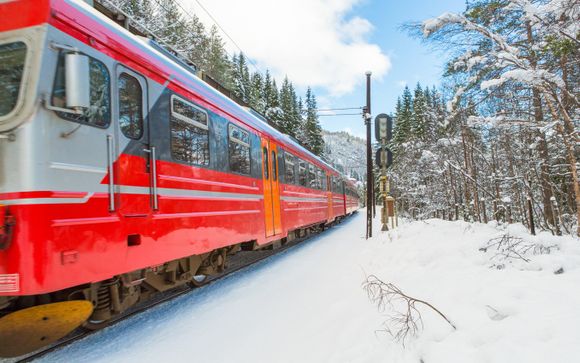 Ihre Rundreise im Detail