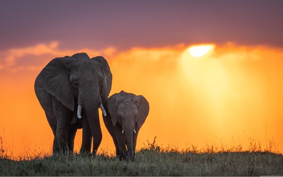 Willkommen in Kenia