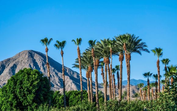 Ihre Reise im Detail