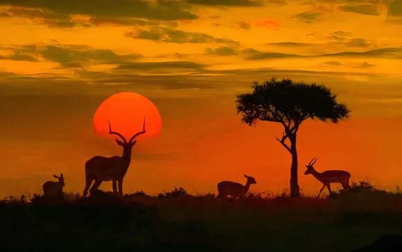 Ihr Aufenthalt im Überblick