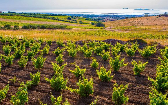 Willkommen auf Sizilien