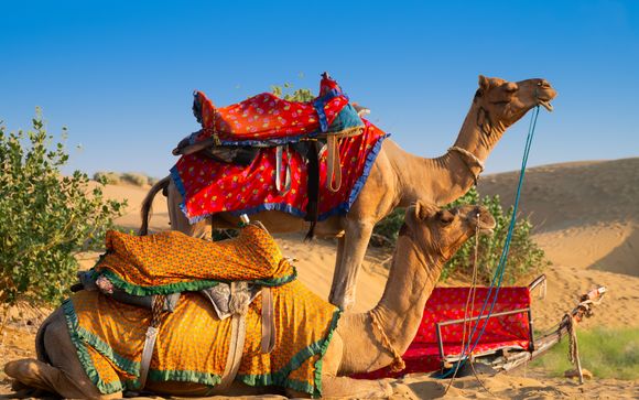 Ihre Rundreise im Detail