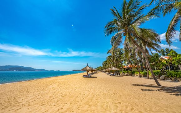 Ihre Ausflugsoptionen