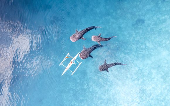 Ihre Rundreise im Überblick