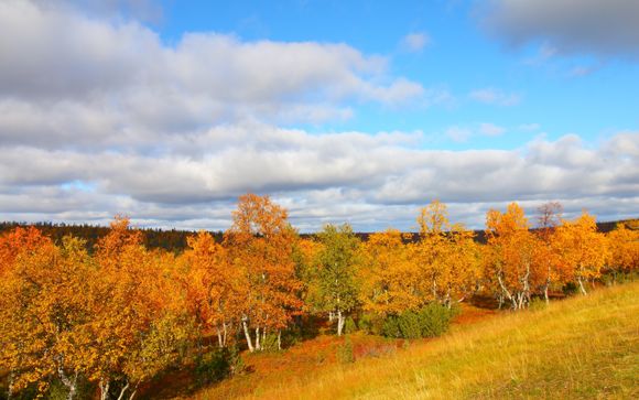 Entdecken Sie Rovaniemi