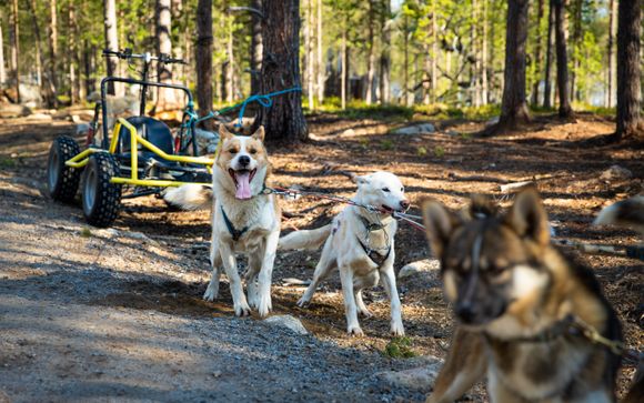 Ihre Reise im Detail