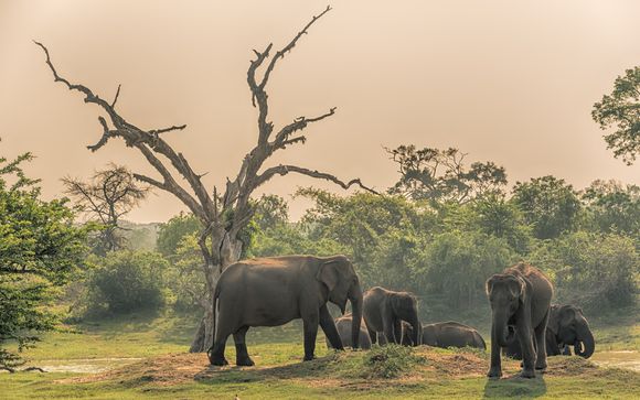 Ihre Rundreise im Detail