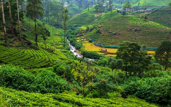 Ihre  Ausflugsoptionen