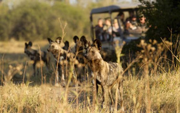 Ihre Rundreise im Detail