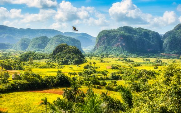 Ihre Autotour im Detail