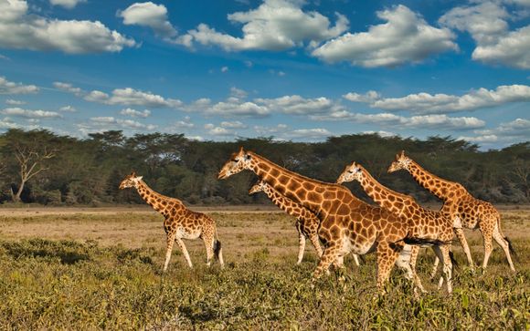 Ihre Reise im Überblick