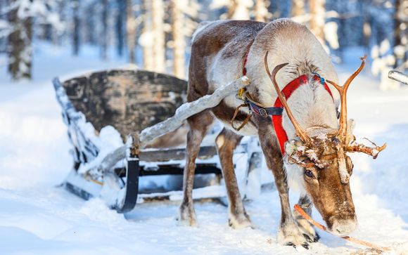 Ihre Ausflugsoptionen